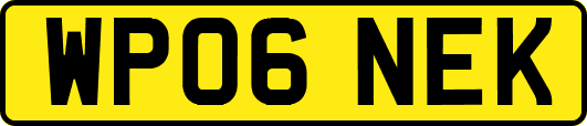 WP06NEK