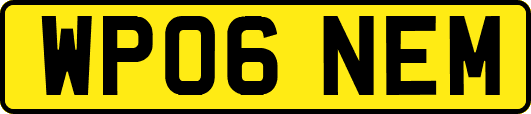 WP06NEM