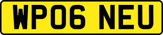 WP06NEU