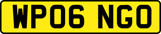 WP06NGO