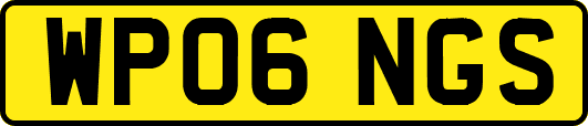 WP06NGS