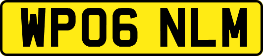 WP06NLM
