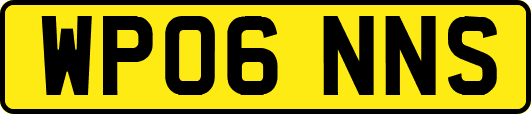 WP06NNS