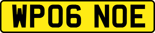 WP06NOE
