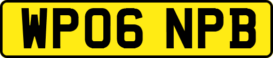 WP06NPB