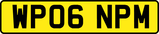 WP06NPM