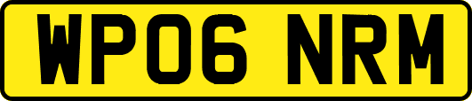 WP06NRM