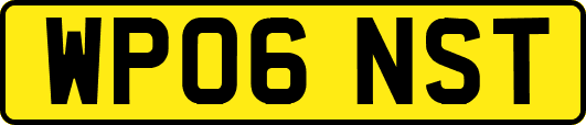 WP06NST