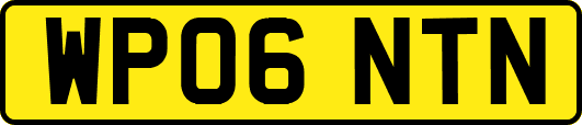 WP06NTN