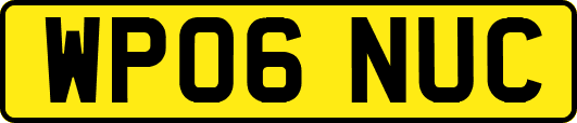 WP06NUC