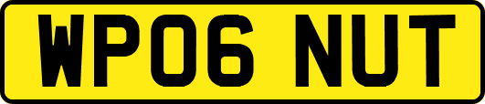 WP06NUT
