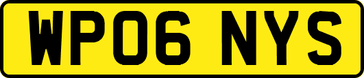 WP06NYS