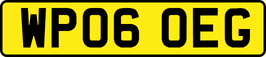 WP06OEG