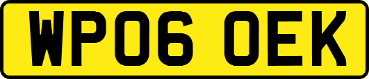 WP06OEK