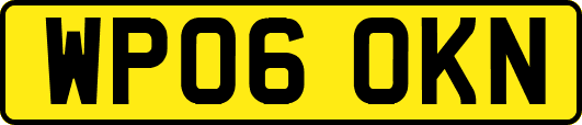 WP06OKN