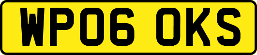 WP06OKS