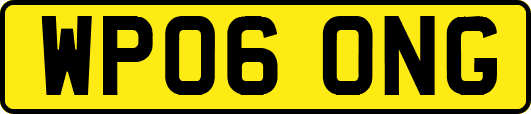WP06ONG