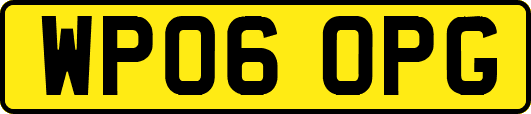 WP06OPG