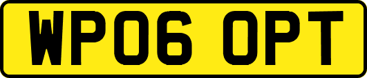 WP06OPT