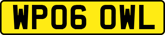 WP06OWL