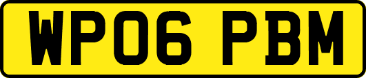 WP06PBM
