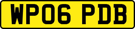 WP06PDB