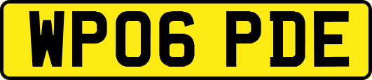WP06PDE