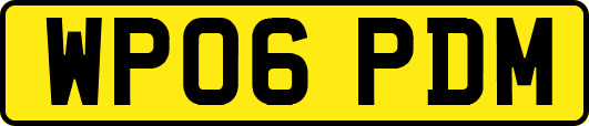 WP06PDM