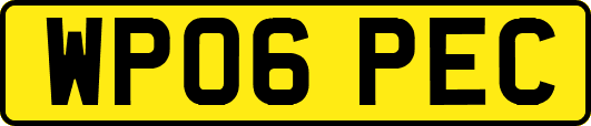 WP06PEC