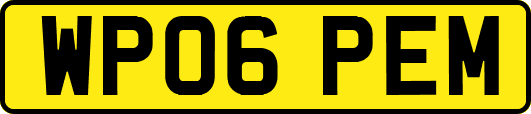 WP06PEM