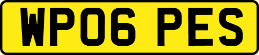 WP06PES