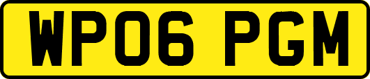 WP06PGM