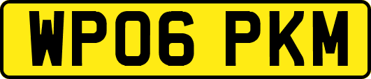WP06PKM