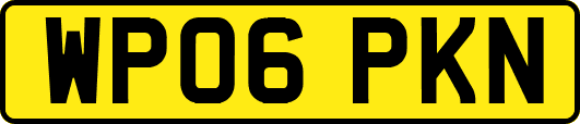 WP06PKN