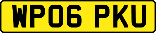 WP06PKU