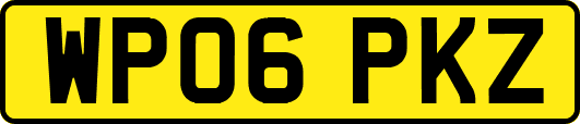 WP06PKZ