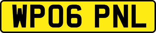 WP06PNL