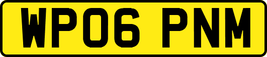 WP06PNM