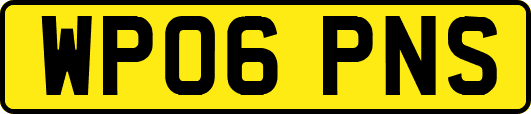 WP06PNS