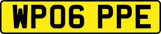 WP06PPE