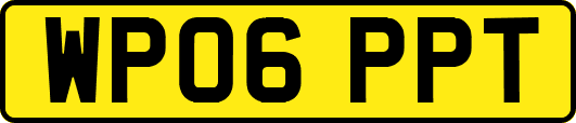 WP06PPT