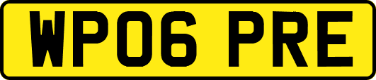 WP06PRE