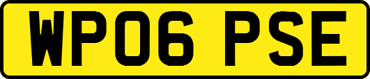 WP06PSE