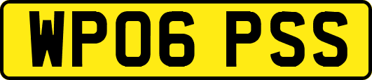 WP06PSS