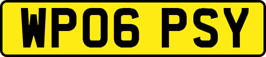 WP06PSY