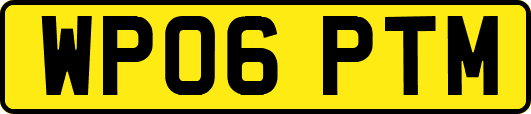 WP06PTM