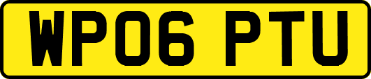 WP06PTU