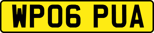 WP06PUA