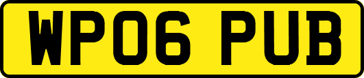 WP06PUB