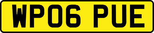 WP06PUE